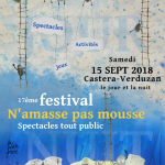 17ème Festival N'amasse Pas Mousse